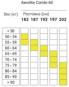 Беговые лыжи Fischer Aerolite 60 Combi IFP – купить по выгодной цене с доставкой и гарантией на Sportexshop.ru